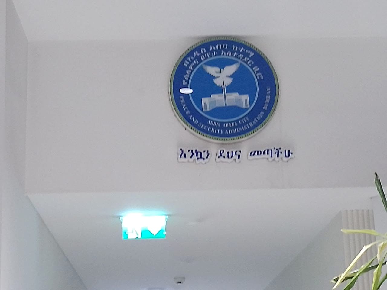 Raised crest and white Amharic greeting lettering mounted high on a corridor wall